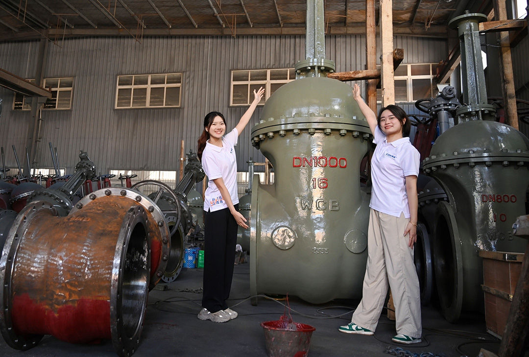 大型自動(dòng)化閥門，已成為現(xiàn)代化工業(yè)管道系統(tǒng)中不可或缺的關(guān)鍵設(shè)備